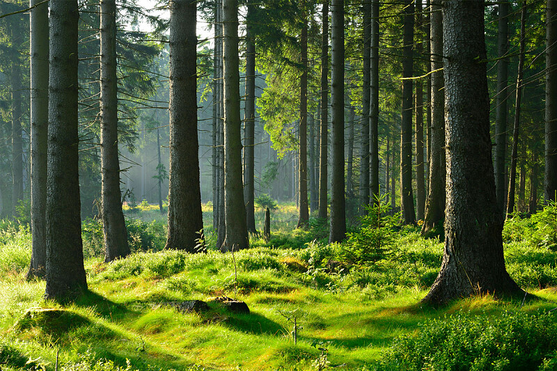 Μια βιώσιμη επιλογή